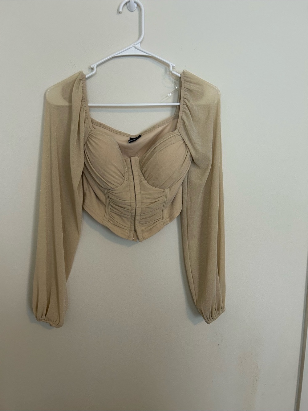 Windsor Beige Sheer Long-Sleeve Bustier Top
